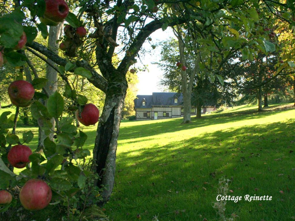 Les Fermes De Florence Bien Etre Et Nature Les Champeaux Ruang foto